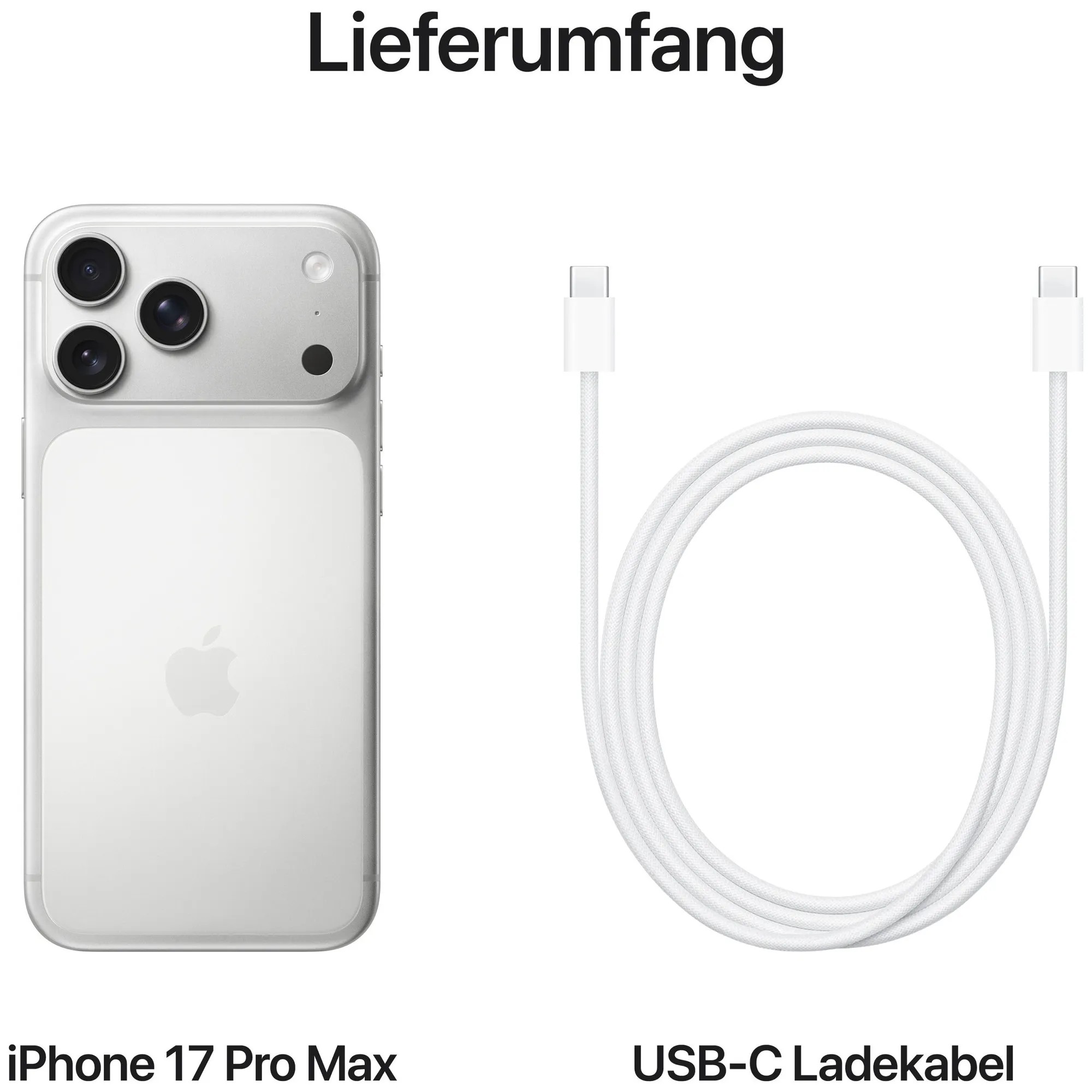 Apple iPhone 17 Pro Max Silver 2TB – Bild 5